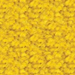 Bright Gold